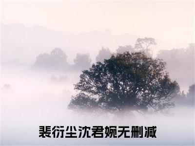 裴衍尘沈君婉（裴衍尘沈君婉）全文免费无弹窗大结局_裴衍尘沈君婉最新章节目录笔趣阁（裴衍尘沈君婉）