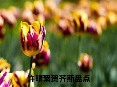 许晴絮贺齐斯全文（许晴絮贺齐斯）完整版小说阅读无删减_（许晴絮贺齐斯）许晴絮贺齐斯全本列表免费笔趣阁（许晴絮贺齐斯）