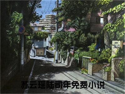 苏云瑶陆司年（苏云瑶陆司年）全文免费阅读无弹窗大结局_你连一句在乎我，都不愿意说出口吗？小说最新章节列表_笔趣阁