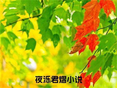 夜泺君熠(夜泺君熠）小说全文免费阅读无弹窗大结局_（夜泺君熠）小说全文免费阅读最新章节列表笔趣阁