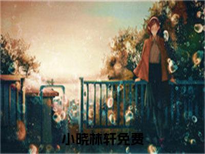 主角是小晓林轩的小说叫什么名字-小晓林轩小说全文免费阅读