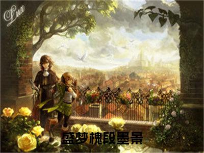 盛梦槐段墨景在线阅读（盛梦槐段墨景）全文无弹窗大结局_盛梦槐段墨景全文在线阅读无弹窗