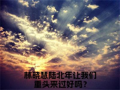 林晓慧陆北年多人推荐-好看的小说让我们重头来过好吗？完整版免费阅读