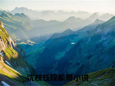 沈枝枝段榆景（沈枝枝段榆景）全文免费阅读无弹窗_沈枝枝段榆景最新小说_笔趣阁（沈枝枝段榆景）