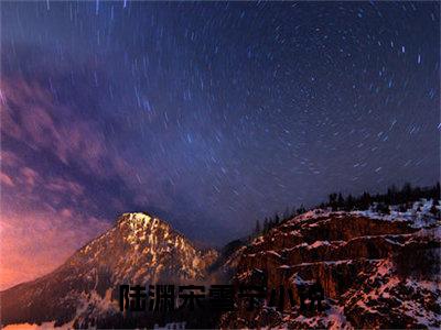 《陆渊宋雪宁完整小说》陆渊宋雪宁完结版全章节阅读