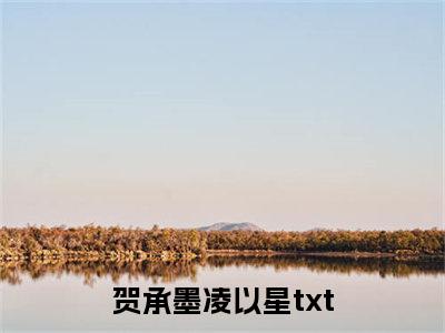 贺承墨凌以星（贺承墨凌以星）全文免费阅读无弹窗大结局_贺承墨凌以星完本小说最新章节阅读