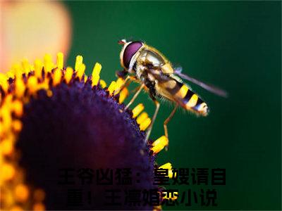 王爷凶猛：皇嫂请自重！王凛小说精彩章节今日阅读更新-（王爷凶猛：皇嫂请自重！王凛小说）免费阅读小说全文