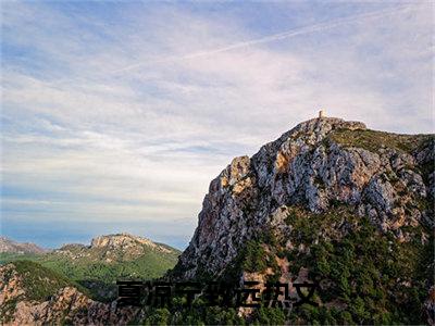 夏凉宁致远（夏凉宁致远）小说全本完结版免费阅读