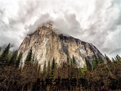 叶繁夕霍君尧全文免费在线阅读_（叶繁夕霍君尧全文免费阅读无弹窗大结局）叶繁夕霍君尧最新章节列表笔趣阁