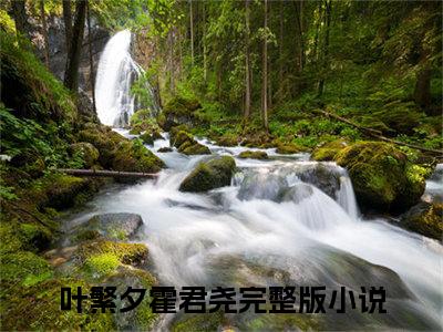 叶繁夕霍君尧（叶繁夕霍君尧 ）全文免费阅读_叶繁夕霍君尧言诺诺,井傅宸 小说最新章节列表笔趣阁