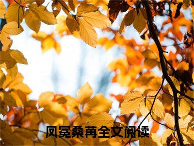 凤冕桑苒无删减（凤冕桑苒）全文免费阅读无弹窗大结局_凤冕桑苒最新章节列表（凤冕桑苒）