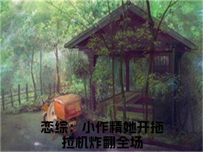 恋综：小作精她开拖拉机炸翻全场小说全文（秦婼顾斯沉）全文免费阅读无弹窗大结局_秦婼顾斯沉小说免费最新章节列表