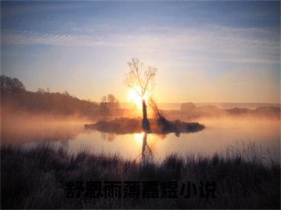 舒恩雨薄嘉煜小说(舒恩雨薄嘉煜)全文免费阅读无弹窗大结局_(舒恩雨薄嘉煜)小说章节列表