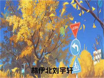 林伊北刘宇轩（林伊北刘宇轩）全章节完整版《林伊北刘宇轩》全文阅读TXT《林伊北刘宇轩》