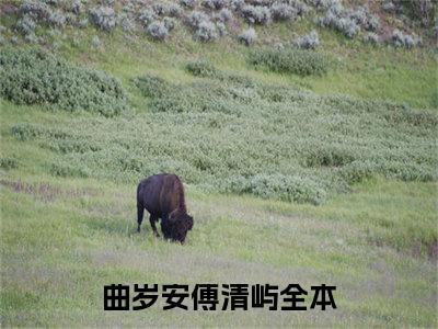 曲岁安傅清屿抖音小说-小说主角叫什么曲岁安傅清屿