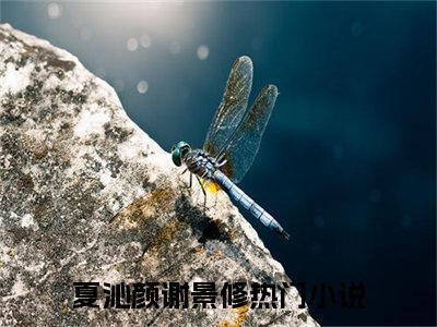 夏沁颜谢景修推荐免费新书，夏沁颜谢景修小说试读