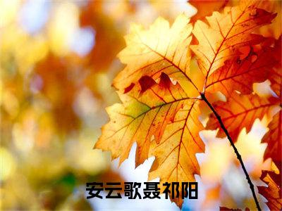 安云歌聂祁阳（安云歌聂祁阳）全文免费阅读无弹窗_安云歌聂祁阳最新小说_笔趣阁（安云歌聂祁阳）