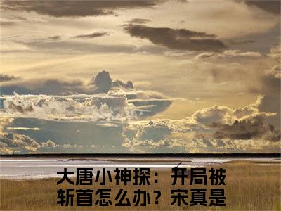 大唐小神探：开局被斩首怎么办？宋真全本资源（大唐小神探：开局被斩首怎么办？宋真）全文免费阅读无弹窗大结局_大唐小神探：开局被斩首怎么办？宋真最新章节列表（大唐小神探：开局被斩首怎么办？宋真）