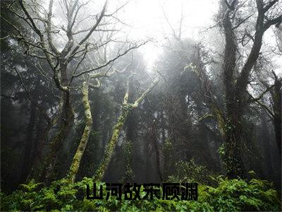 山河故宋顾渊（山河故宋顾渊）全文免费阅读无弹窗大结局_山河故宋顾渊小说（山河故宋顾渊）最新章节列表笔趣阁（山河故宋顾渊）