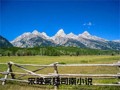 宋晚棠陆司南小说最新章节阅读-小说（宋晚棠陆司南）已完结小说精彩大结局