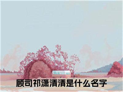 顾司祁潇清清小说（顾司祁潇清清）全文免费阅读无弹窗大结局_顾司祁潇清清小说最新章节列表