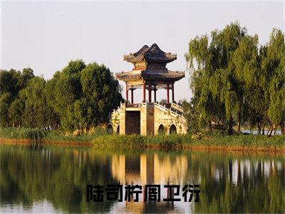 陆司柠周卫衍小说(陆司柠周卫衍)全文免费阅读无弹窗大结局_(陆司柠周卫衍免费阅读全文大结局)最新章节列表_笔趣阁（陆司柠周卫衍）