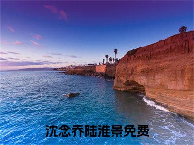 沈念乔陆淮景小说最新章节阅读 沈念乔陆淮景全文免费阅读最新章节大结局