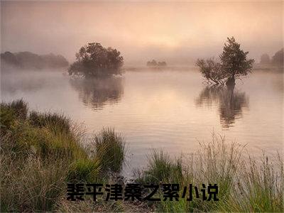 裴平津桑之絮（裴平津桑之絮）最新章节阅读-裴平津桑之絮小说大结局