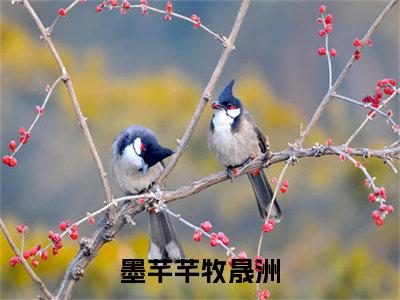 墨芊芊牧晟洲笔趣阁免费小说-主角为墨芊芊牧晟洲的小说全文在线赏析