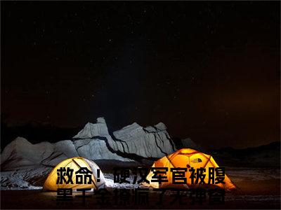 林初月叶向北小说最新章节阅读-小说林初月叶向北（救命！硬汉军官被腹黑千金撩疯了）已完结小说精彩大结局