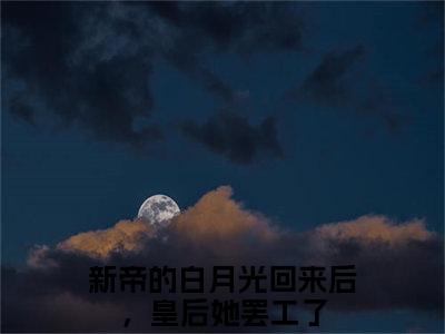 新帝的白月光回来后，皇后她罢工了全文免费阅读无弹窗大结局_ 连婳傅昀璋最新章节列表笔趣阁