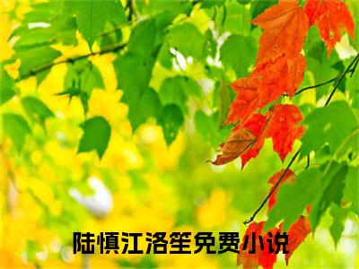 陆慎江洛笙全文免费阅读-（陆慎江洛笙）小说全文免费阅读正版无弹窗