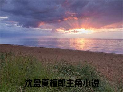 沈盈夏檀郎小说（沈盈夏檀郎）全文免费阅读无弹窗大结局_沈盈夏檀郎小说免费阅读_笔趣阁