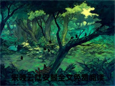 宋晚云陆安黎（宋晚云陆安黎）全文完整版免费阅读_（宋晚云陆安黎小说免费阅读）最新章节列表