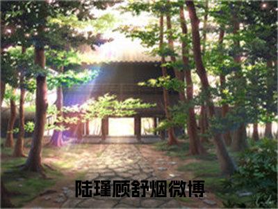 陆瑾顾舒烟小说（陆瑾顾舒烟）全文免费阅读无弹窗_陆瑾顾舒烟小说最新章节免费阅读_笔趣阁