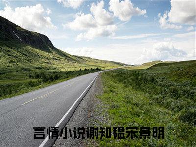 谢知韫宋景明最新热点小说-谢知韫宋景明免费观看完结版