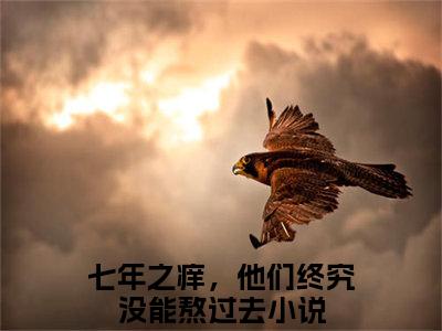 唐苒苒顾若修(七年之痒，他们终究没能熬过去)小说免费下载全本-唐苒苒顾若修（七年之痒，他们终究没能熬过去完整版）免费阅读