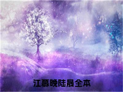 江慕晚陆晟最火热点小说最新更新-江慕晚陆晟全文免费无弹窗