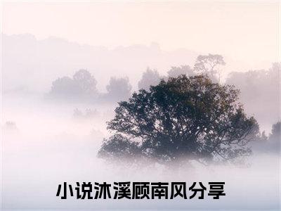 沐溪顾南风（沐溪顾南风）全文免费阅读无弹窗大结局_沐溪顾南风最新章节列表（沐溪顾南风）