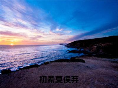 初希夏侯弃（初希夏侯弃）全文免费阅读无弹窗大结局_初希夏侯弃全文免费阅读最新章节列表_笔趣阁