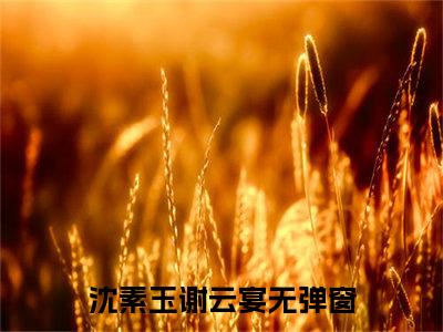 沈素玉谢云宴首发小说-沈素玉谢云宴(沈素玉谢云宴)无删减版全文在线