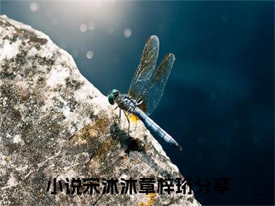 宋沐沐章梓珩小说（宋沐沐章梓珩）全文免费阅读无弹窗大结局_(宋沐沐章梓珩)宋沐沐章梓珩小说免费阅读无弹窗最新章节列表_笔趣阁（宋沐沐章梓珩）