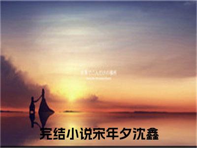 宋年夕沈鑫全文免费阅读无弹窗大结局-宋年夕沈鑫(宋年夕沈鑫小说)最新章节-笔趣阁