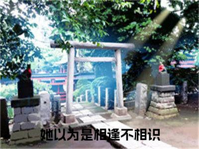 主人公叫（池安程禹）的小说（她以为是相逢不相识）全文免费阅读最新章节列表_笔趣阁