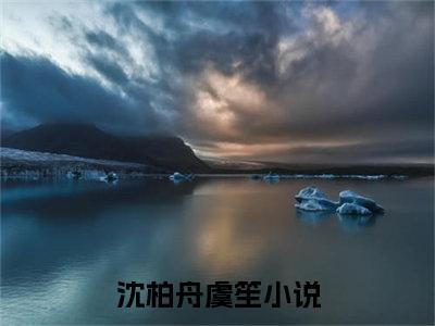 沈柏舟虞笙（沈柏舟虞笙小说）全文免费阅读无弹窗大结局_(沈柏舟虞笙小说免费阅读)最新章节列表