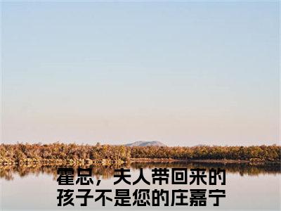 庄嘉宁霍一珩（霍总，夫人带回来的孩子不是您的）全文免费阅读无弹窗_庄嘉宁霍一珩霍总，夫人带回来的孩子不是您的最新章节免费阅读_笔趣阁