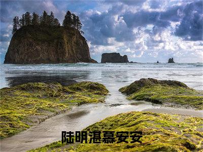 陆明湛慕安安（陆明湛慕安安）全文免费大结局，陆明湛慕安安结局在线阅读