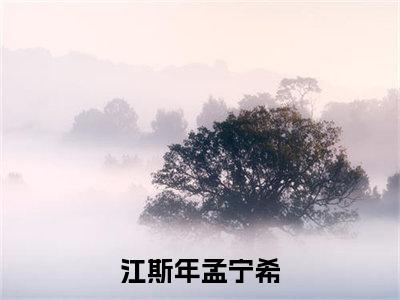 江斯年孟宁希小说全文免费阅读（江斯年孟宁希）全文免费阅读无弹窗大结局_(江斯年孟宁希)江斯年孟宁希小说免费阅读无弹窗最新章节列表_笔趣阁（江斯年孟宁希）