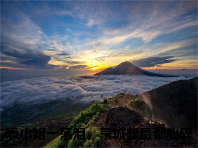 表小姐一落泪，京城权贵都心碎小说（子书岁萧必安谢厌）全文免费阅读无弹窗_表小姐一落泪，京城权贵都心碎最新小说_笔趣阁（子书岁萧必安谢厌）