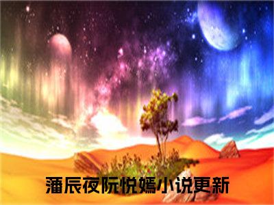 （藩辰夜阮悦嫣）小说全文免费阅读-微小说（藩辰夜阮悦嫣）完整版阅读